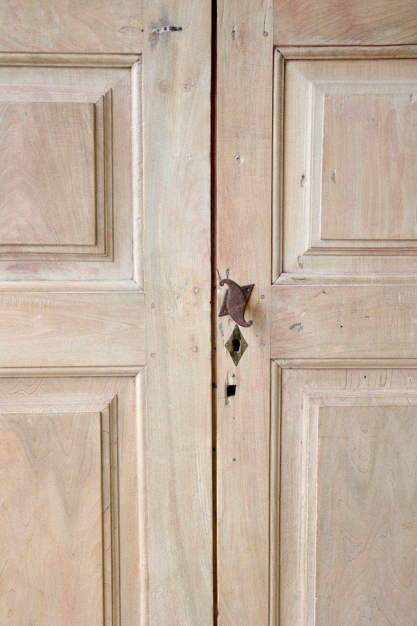 Pair 17th c Walnut Doors from the Piemonte Region of Italy - image 3