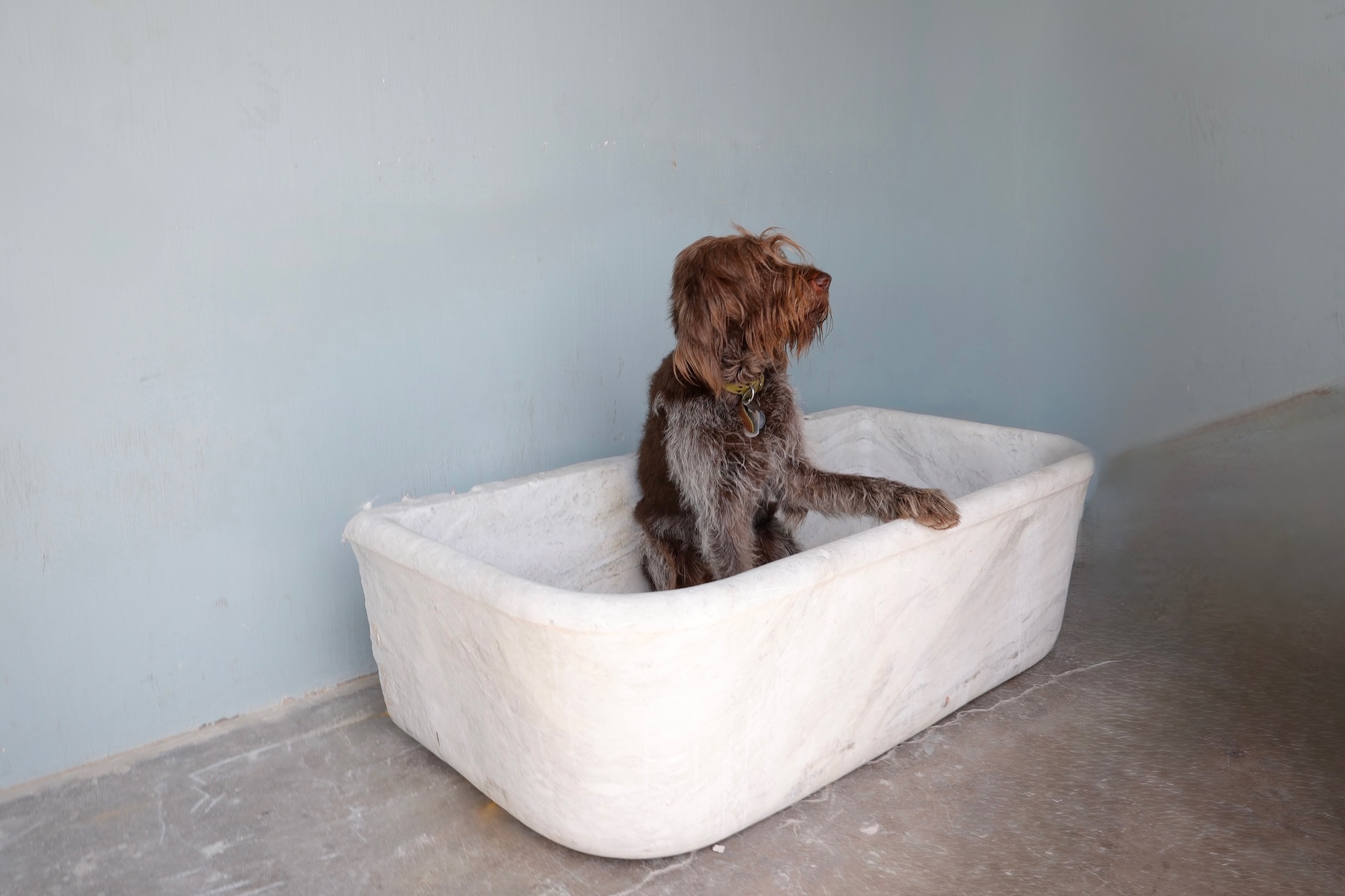 Oversized 18th c. Marble Sink from a Castello in the Umbria Region of Italy - image 2