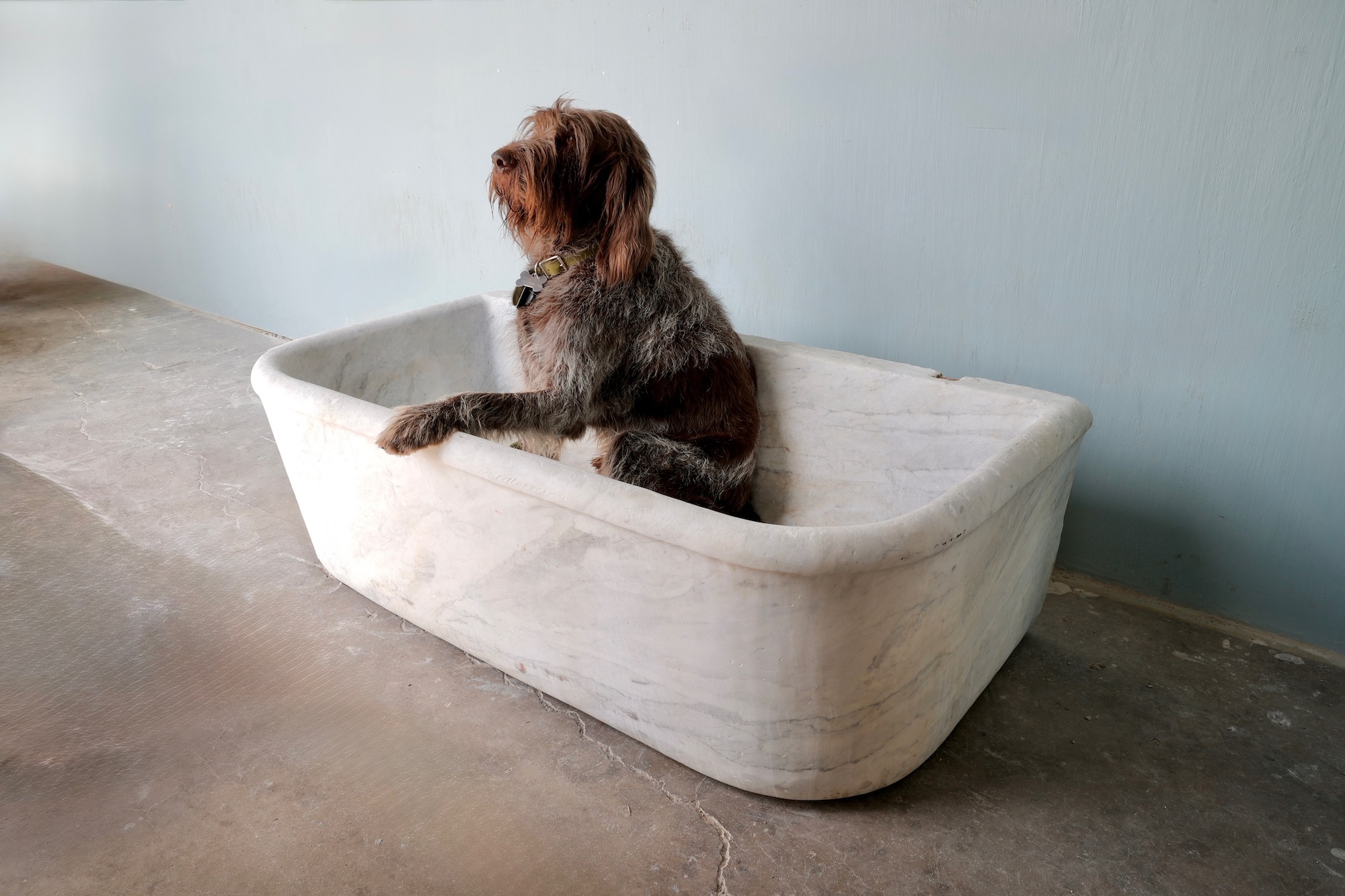 Oversized 18th c. Marble Sink from a Castello in the Umbria Region of Italy - image 3