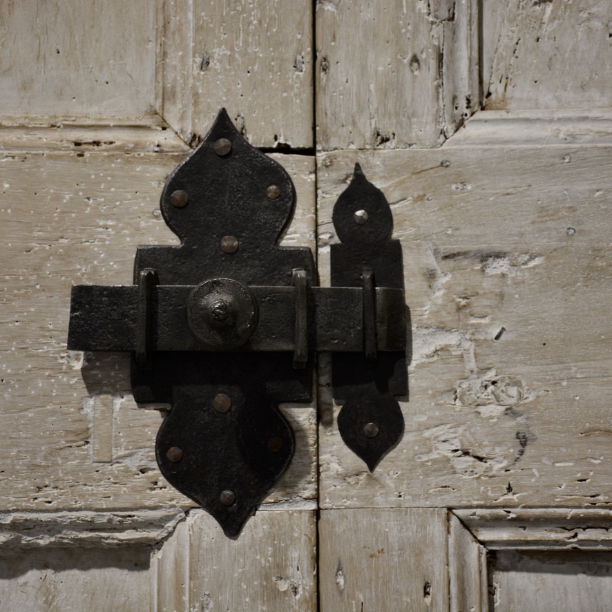 Pair of 18th c. Tuscan Doors - image 2