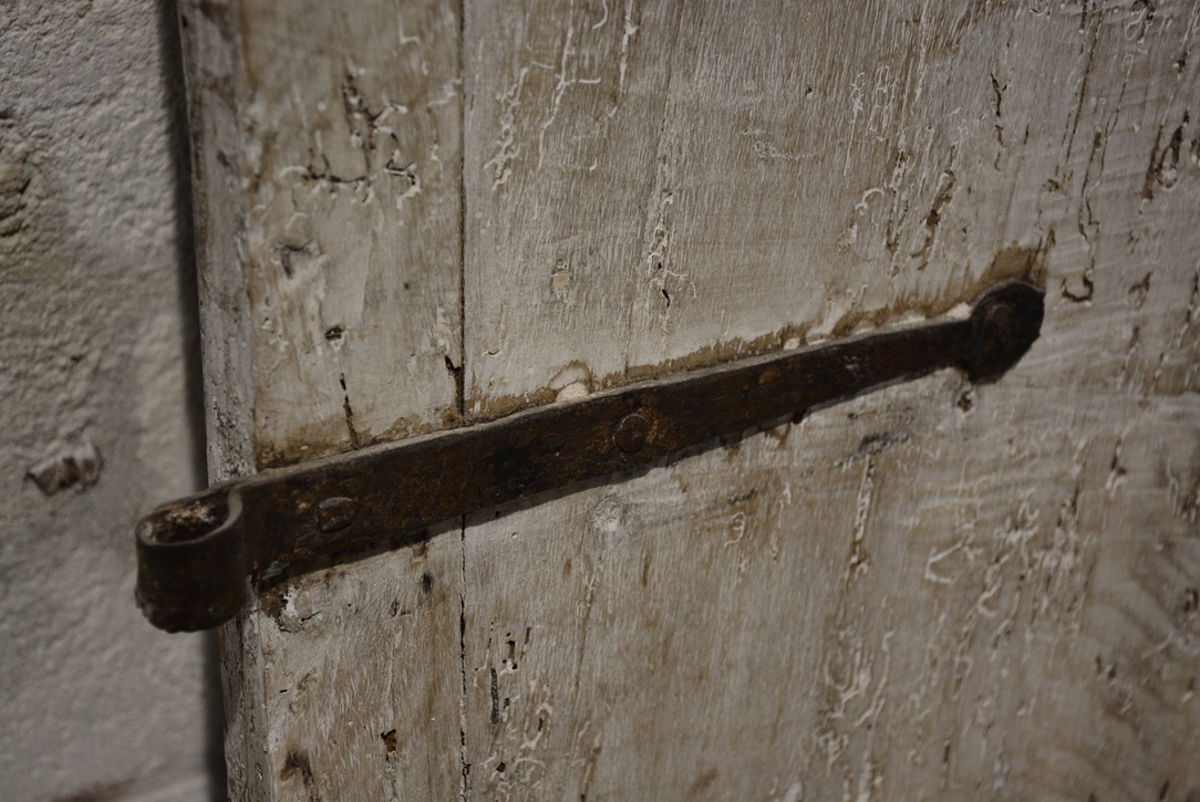 Pair of 18th c. Tuscan Doors - image 4