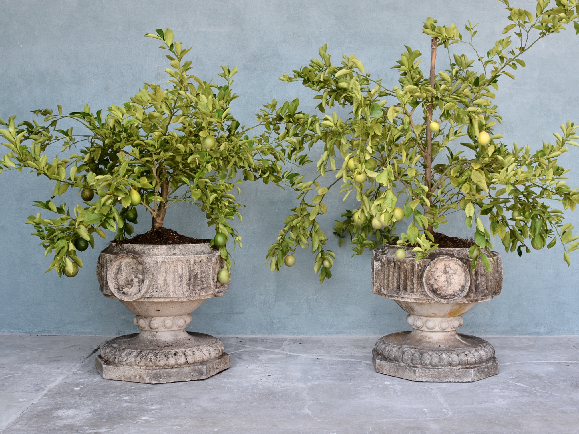 Pair of Form Campana Antique Garden Urns - image 7