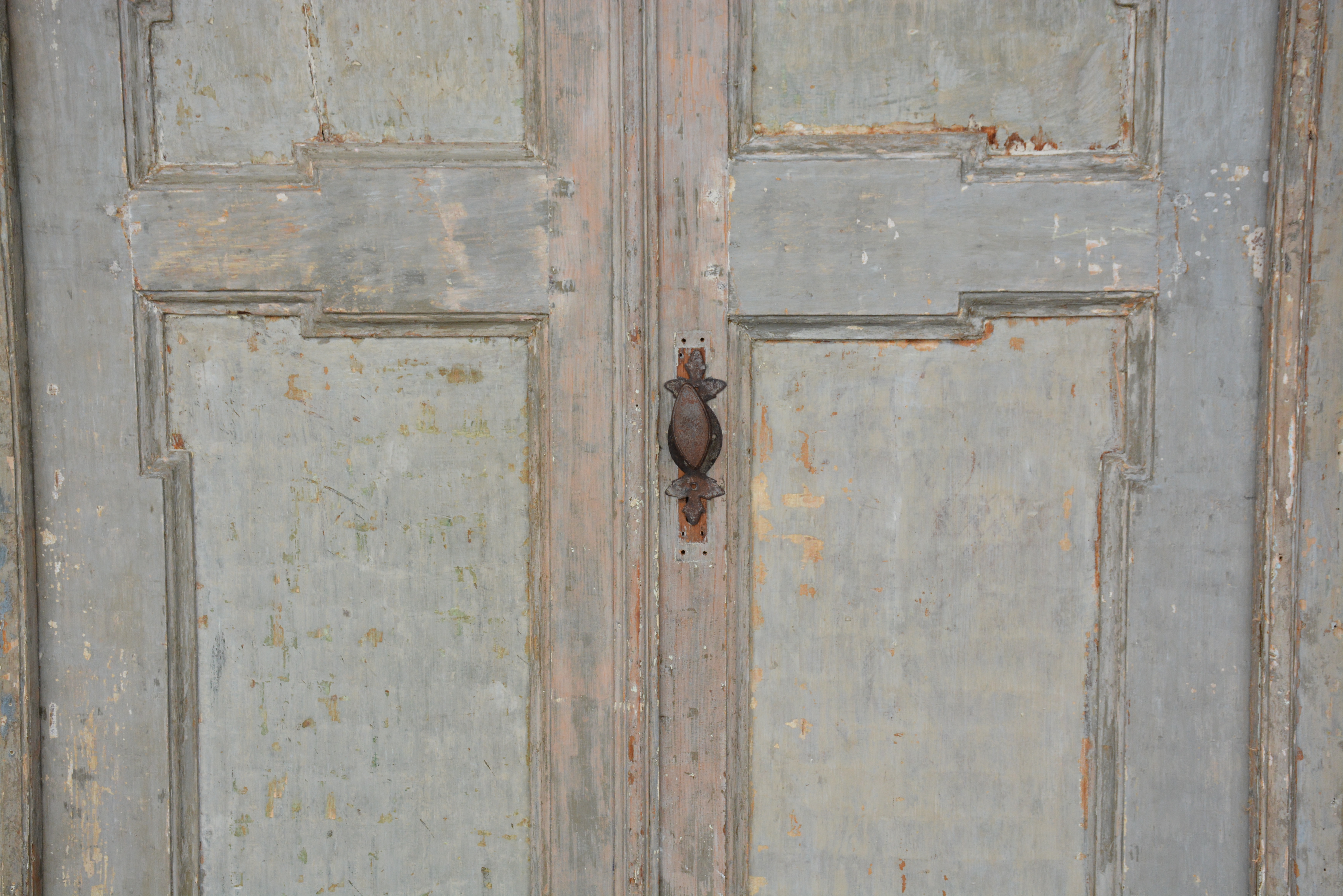 Pair of 18th c. Doors from the Piemonte Region in Italy - image 3